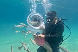 姑苏的海洋环境清洁，拥有丰富的海洋生物和珍稀水产资源。图自人民报