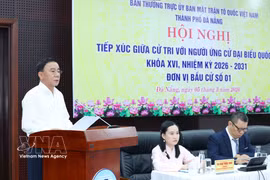 越共中央书记处常务书记陈锦绣发表讲话。图自越通社