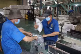 越南2号福成有限责任公司工人正在包装出口大米。图自越通社