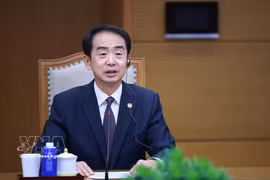 中国驻越南大使何炜。图自越通社