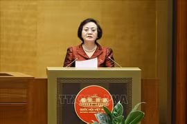内务部长范氏青茶在会议上发表讲话。图自越通社