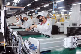 附图。图自越通社