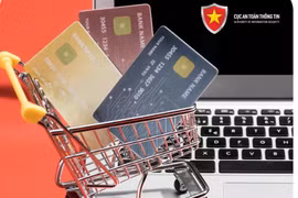 附图。图自互联网