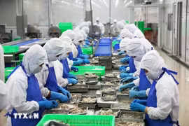 附图。图自越通社
