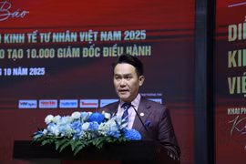 越南青年企业家协会主席、2025年越南民营经济论坛主席邓鸿英。图自越通社