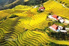 宣光省河江一号坊的梯田。图自越通社