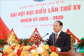 黎明银同志当选莱州省委书记。图自越通社