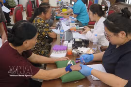老街省启动针对身份不明烈士亲属的DNA生物样本接收高峰期。图自越通社
