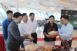 代表们了解奠边省的旅游信息和产品。图自baomoi.vn
