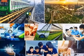 附图。图自互联网