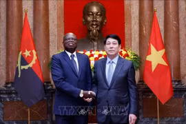 国家主席梁强于2025年4月24日会见前来递交国书的安哥拉共和国大使费尔南多·米格尔。图自越通社