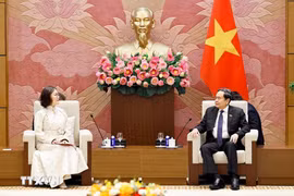 8月26日下午，越南国会主席陈青敏礼节性会见蒙古驻越南全权特命大使甘巴特尔·呼兰（Ganbaatar Hulan）。（图自俊尹/越通社