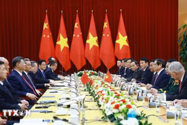 2025年4月14日，范明政总理会见中共中央总书记、国家主席习近平。图自越通社