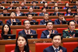 与会代表。图自越通社