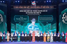 2026年革新40年越南优秀农民表彰暨称号授予仪式于10月12日晚在河内举行。图自越通社