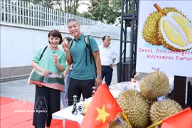 游客与越南榴莲合影打卡。图自越通社