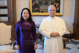 越南国家副主席武氏映春礼节性拜会了教皇良十四世。图自越通社