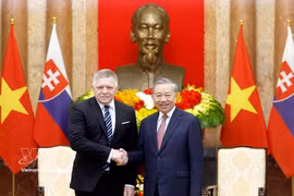 越共中央总书记、国家主席苏林会见斯洛伐克总理罗贝尔特·菲佐。图自越通社