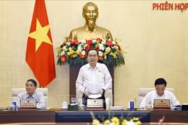 国会主席陈青敏主持会议并发表开幕讲话。图自越通社