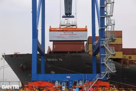 MSC BEIRA IV号船舶于2月13日已抵达越南同奈省仁泽县福安港。图自民智报