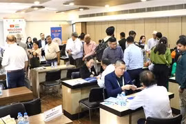 越南-印度企业对接交流会现场。图自越通社