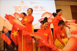 庆祝活动的文艺表演。图自越通社