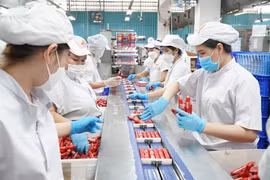 到2025年底，越南经济规模有望突破5050亿美元，正式迈入全球前30大经济体行列。图自越通社