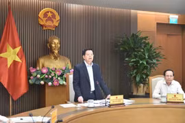 越南政府副总理梅文政发表讲话。图自越南政府门户网站
