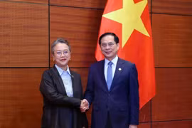 裴青山副总理会见联合国副秘书长兼亚洲及太平洋经济社会委员会执行秘书阿尔米达•萨尔西娅•阿里沙赫巴纳。图自越通社