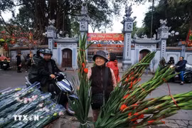 还剑坊篦行街花市一年只开一次。图自越通社