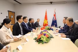 由越共中央政治局委员、书记处书记、中央宣教与民运部长阮仲义率领的越南共产党代表团会见新西兰大学事务部长沙恩·雷蒂。图自越通社