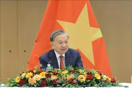 越共中央总书记苏林。图自越通社