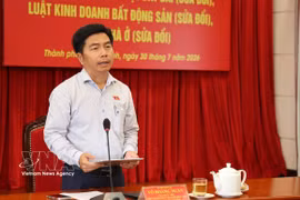 胡志明市国会代表团副团长武煌银发表讲话。图自越通社