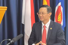越南驻新加坡大使陈福英。图自越通社