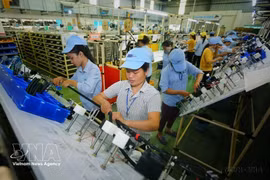 附图。图自越通社