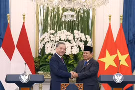 越共中央总书记苏林和印度尼西亚总统普拉博沃·苏比延多。图自越通社