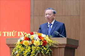 苏林总书记发表讲话。图自越通社