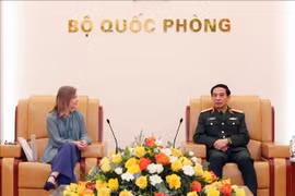 越南国防部长潘文江大将会见加拿大国防部副部长斯蒂芬妮·贝克。图自越通社