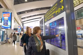 国际旅客在内排机场查看信息。图自越通社
