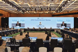 第33届亚太经合组织（APEC）财政部长会议现场。图自越通社