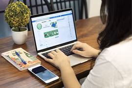 附图。图自《投资报》