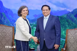 越南政府总理范明政于2024年4月4日会见西班牙驻越南大使卡门·卡诺·德·拉萨拉。图自越通社