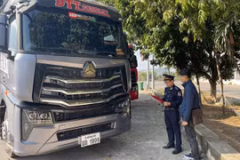 海关人员检查进出口货物。图自越通社