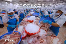 水产品出口加工。图自越通社