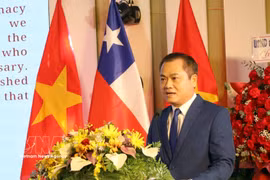 岘港市友好组织联合会主席阮玉平发表讲话。图自越通社