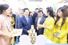 越南政府副总理梅文政参观越南企业的展位。图自越通社