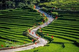 9·2国庆假期，浦良生态旅游区一条道路上插满金星红旗吸引游客前来打卡。图自越通社