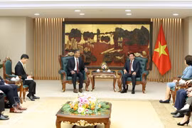 会见现场。图自越通社