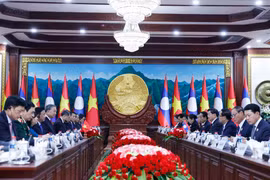 越共中央总书记苏林与老挝人革党中央总书记、国家主席通伦举行会谈。图自越通社
