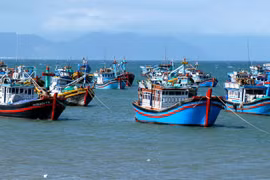 附图。图自https://thuysanvietnam.com.vn/